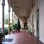 Alberghi Palazzo Ricasoli