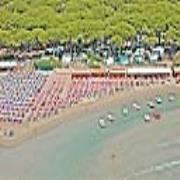 Pineta del Golfo
