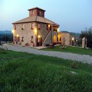 Ragoncino