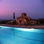 Ragoncino