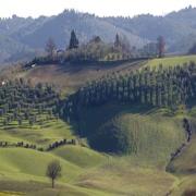 La Rotonda in Chianti
