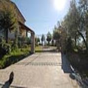 Scaldasole