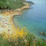 Soltur