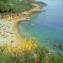 Agenzia Immobiliare Soltur