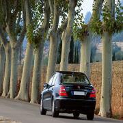 Tuscany Taste Tour