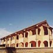 Tognarini Immobiliare