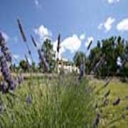 Villa Aurea Centro Benessere