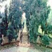 Villa Giardino