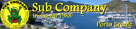 Diving Sub Company