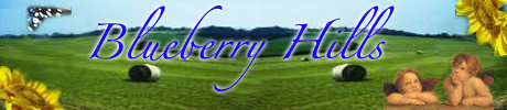 Bed and Breakfast Blueberry Hills
