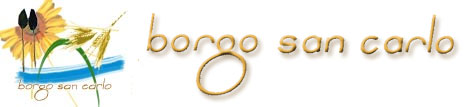 Residence Residence Borgo San Carlo