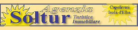 Real estate agency Soltur