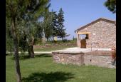La Ranocchiaia