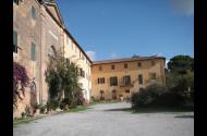 Tenuta di Vignale