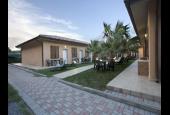 Le Palme