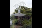 Le Palme