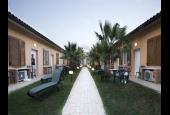 Le Palme