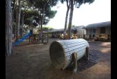 Golfo degli Etruschi