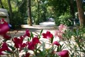 Camping Casa di Caccia