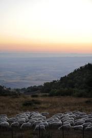 La Miniera