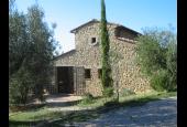 Il Gheppio