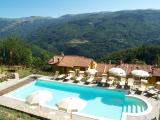 Tana del istrice