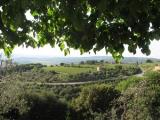 Casa Lemmi