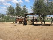Casa Lemmi
