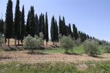 Colle Verde