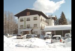Alberghi Albergo Tirolo