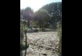 Podere Scarabattoli