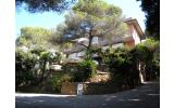 hotel Hotel la Rosa del Tirreno
