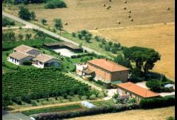 Agriturismo Agrifoglio