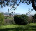 BED AND BREAKFAST OLIVANDA
