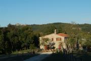 Colle Paoli