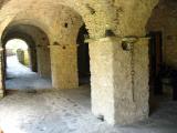 il Glicine e la Lanterna