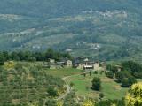 Costa Orsola