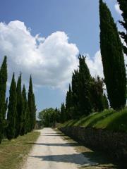 Le Casacce