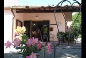 Fattoria La Steccaia