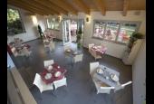 Pineta