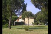 Mare Etrusco