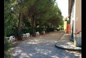 Mare Etrusco