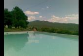 Villanovia