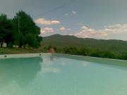 Villanovia