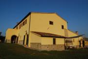 Villanovia