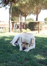 La Serrata