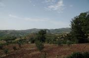 Casale Fontani