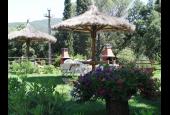 Il Castagno Toscana