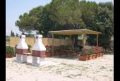 Futura C.A.V. Follonica
