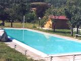 Gensformaina